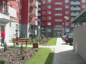 PICT8578.jpg
